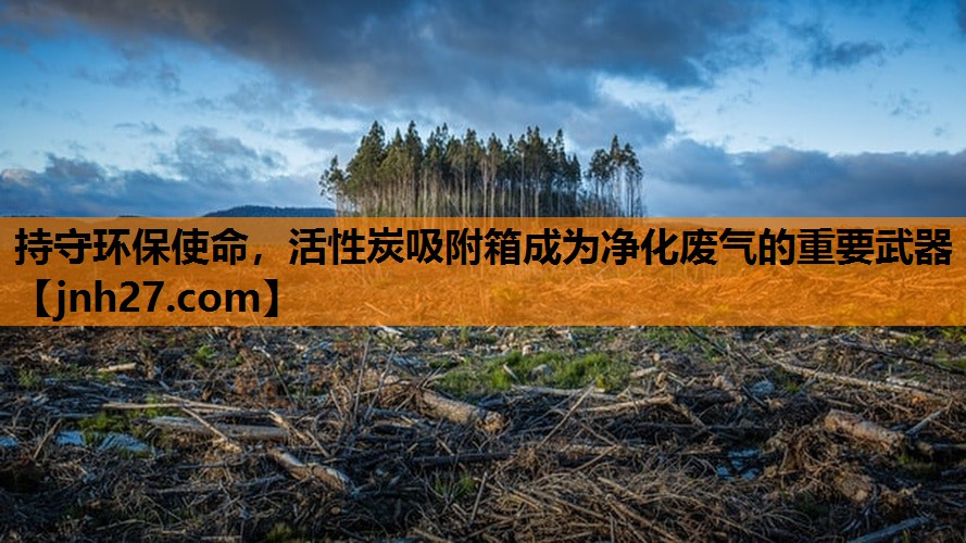 持守环保使命，活性炭吸附箱成为净化废气的重要武器