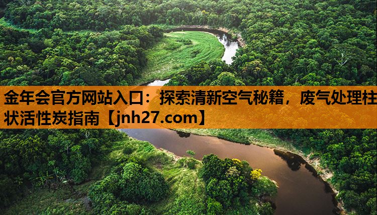 金年会官方网站入口：探索清新空气秘籍，废气处理柱状活性炭指南